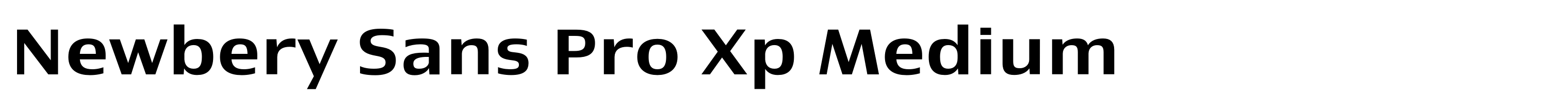Newbery Sans Pro Xp Medium